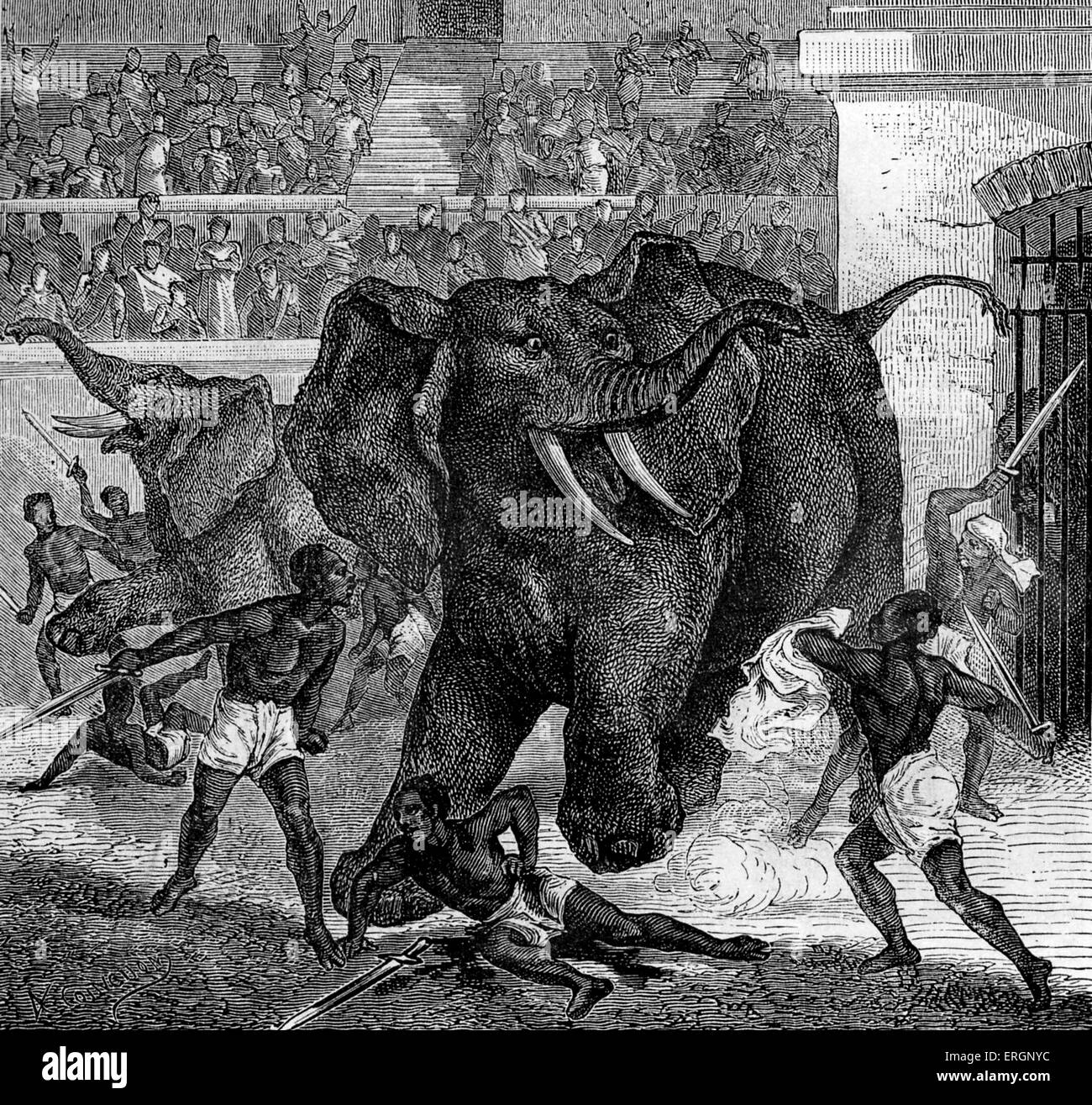 Roman Circus. Crowds watch slaves fighting elephants with swords. Stock Photo