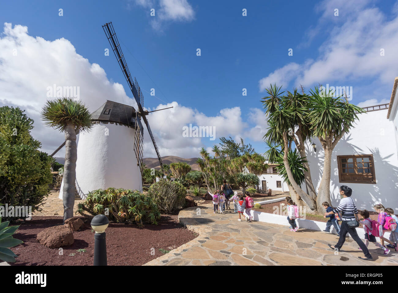 Molina de Antigua, Windmill, Fuerteventura, Canary Islands, Spain Stock Photo