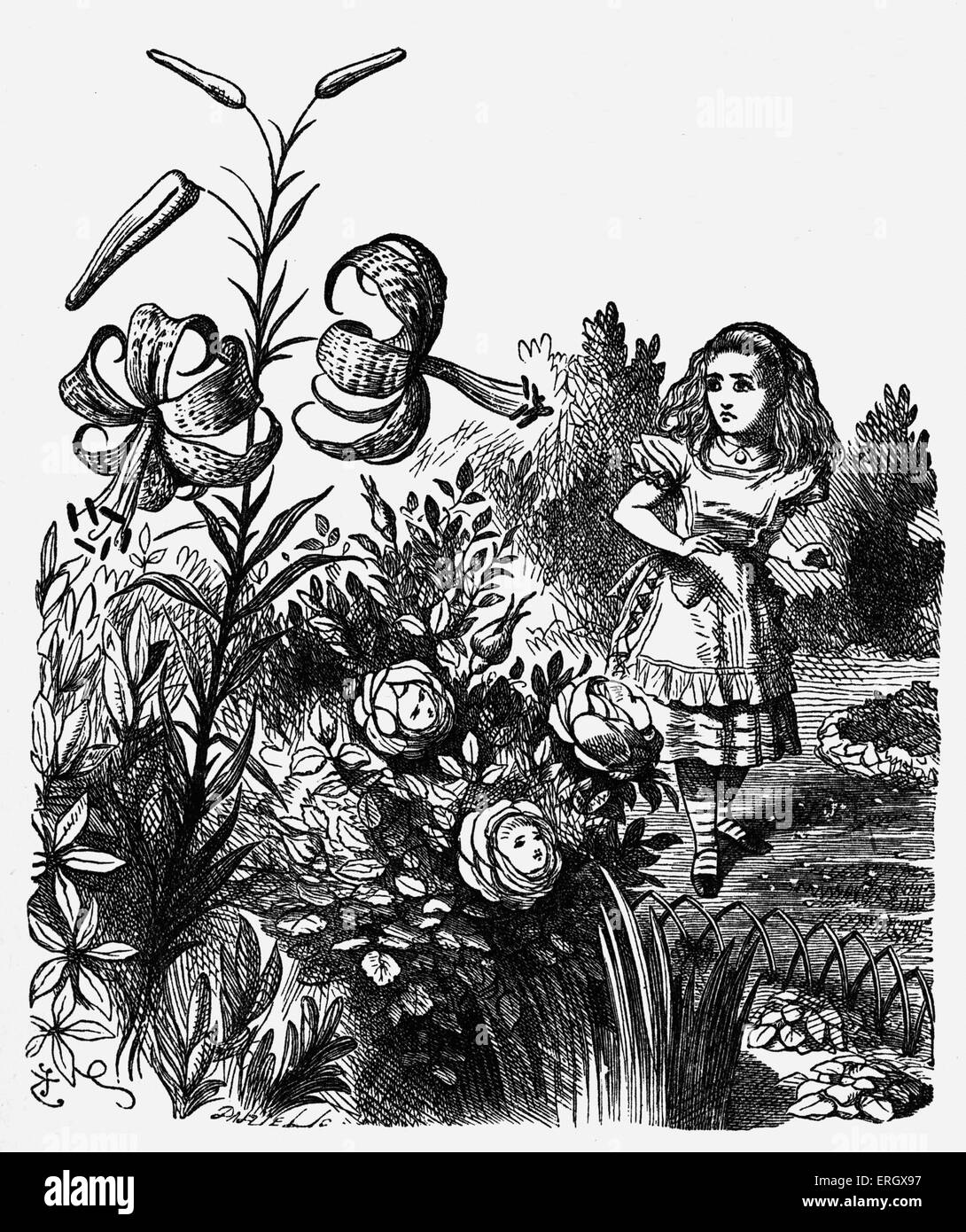 Lewis Carroll 's book 'Through the Looking-glass and what Alice found there'.  Illustrated by John Tenniel. Description of Stock Photo