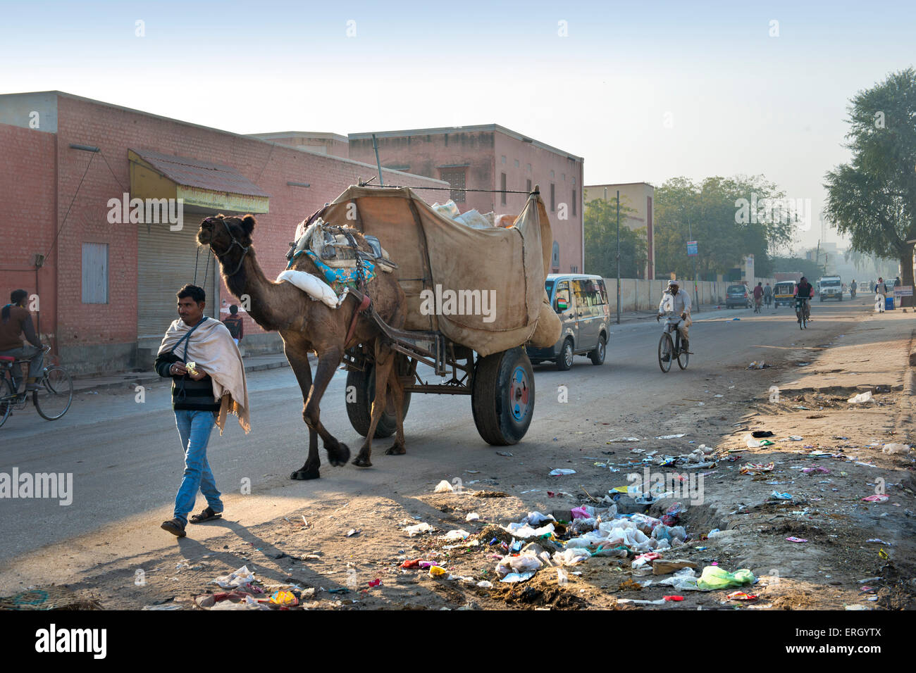 India, Rajasthan, Bikaner, daily life, transport Stock Photo - Alamy