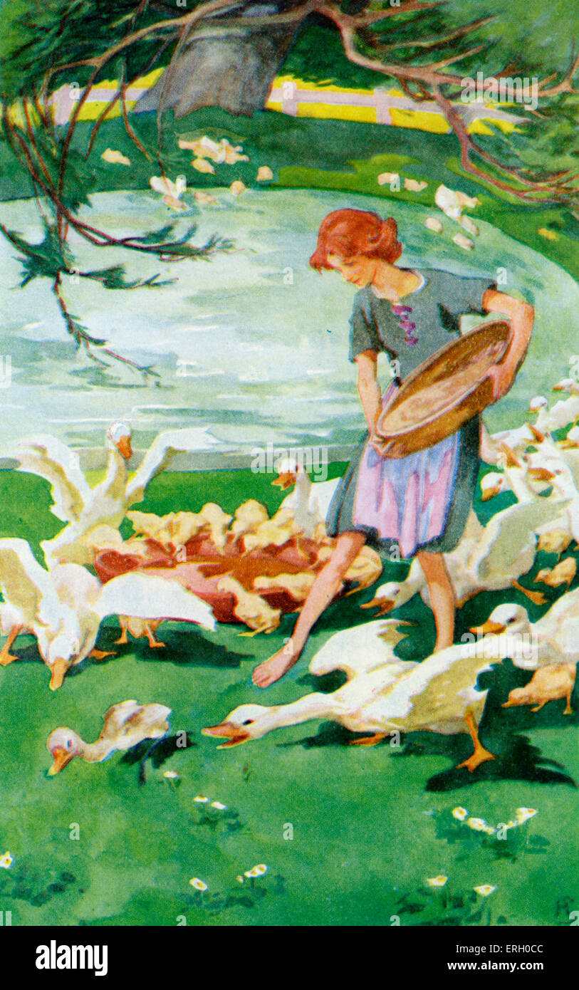 Hans Christian Andersen's fairy tale, The Ugly Duckling. Caption reads: 'The Ugly Duckling' (young lady feeding the ducklings). Stock Photo