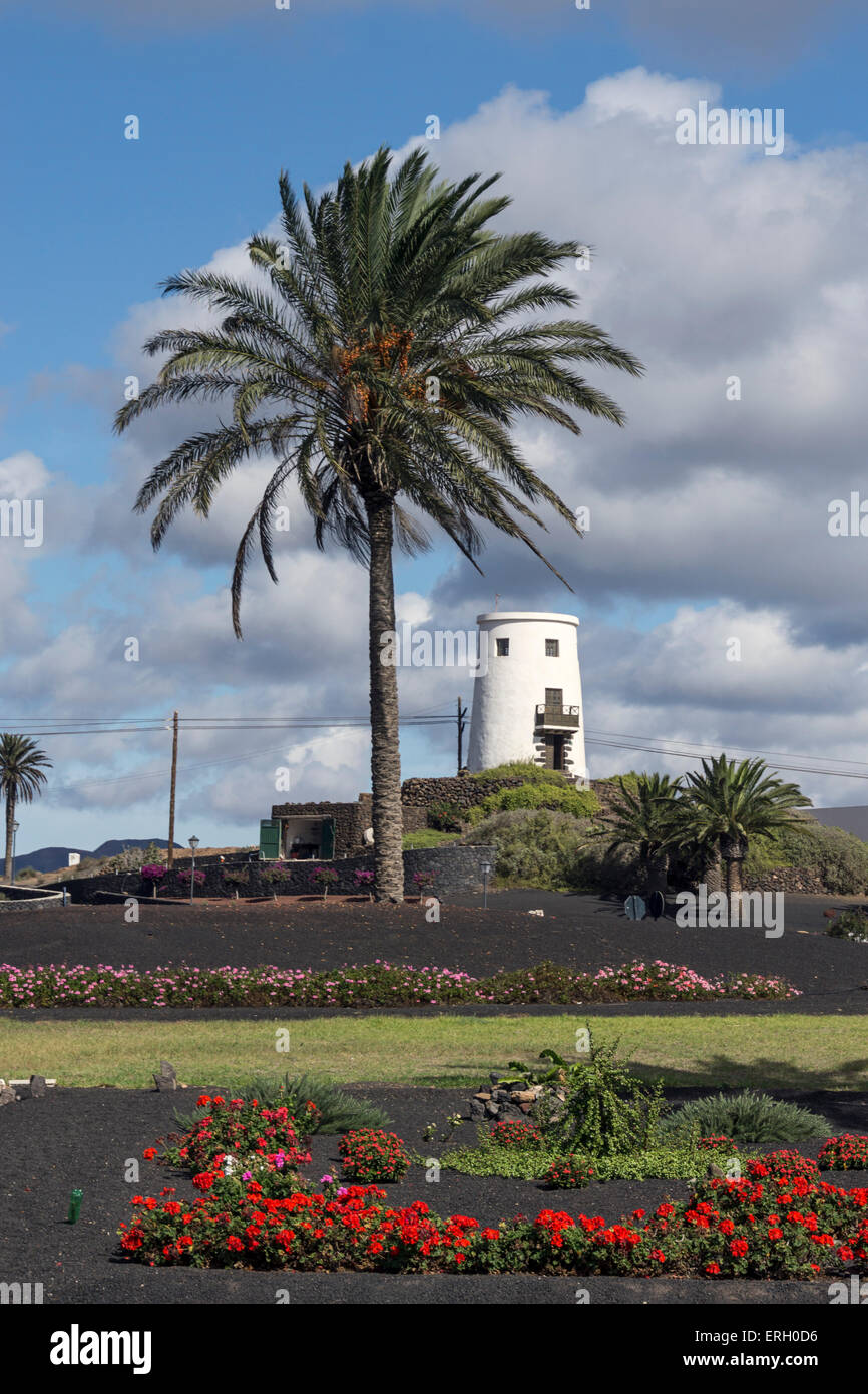 Windmill at roundabout in Uga, Palm Trees, Lanzarote, Canary Islands, Spain Stock Photo