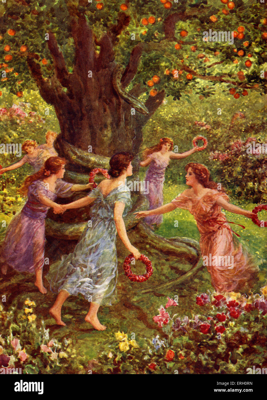 How Perseus slew the Gorgon - caption reads: 'Perseus saw them dancing around the charmed tree'. From 'The Heroes or Greek Fairy Tales' by Charles Kingsley, English novelist (June 12, 1819 – January 23, 1875). Illustration by Howard Davie. Stock Photo