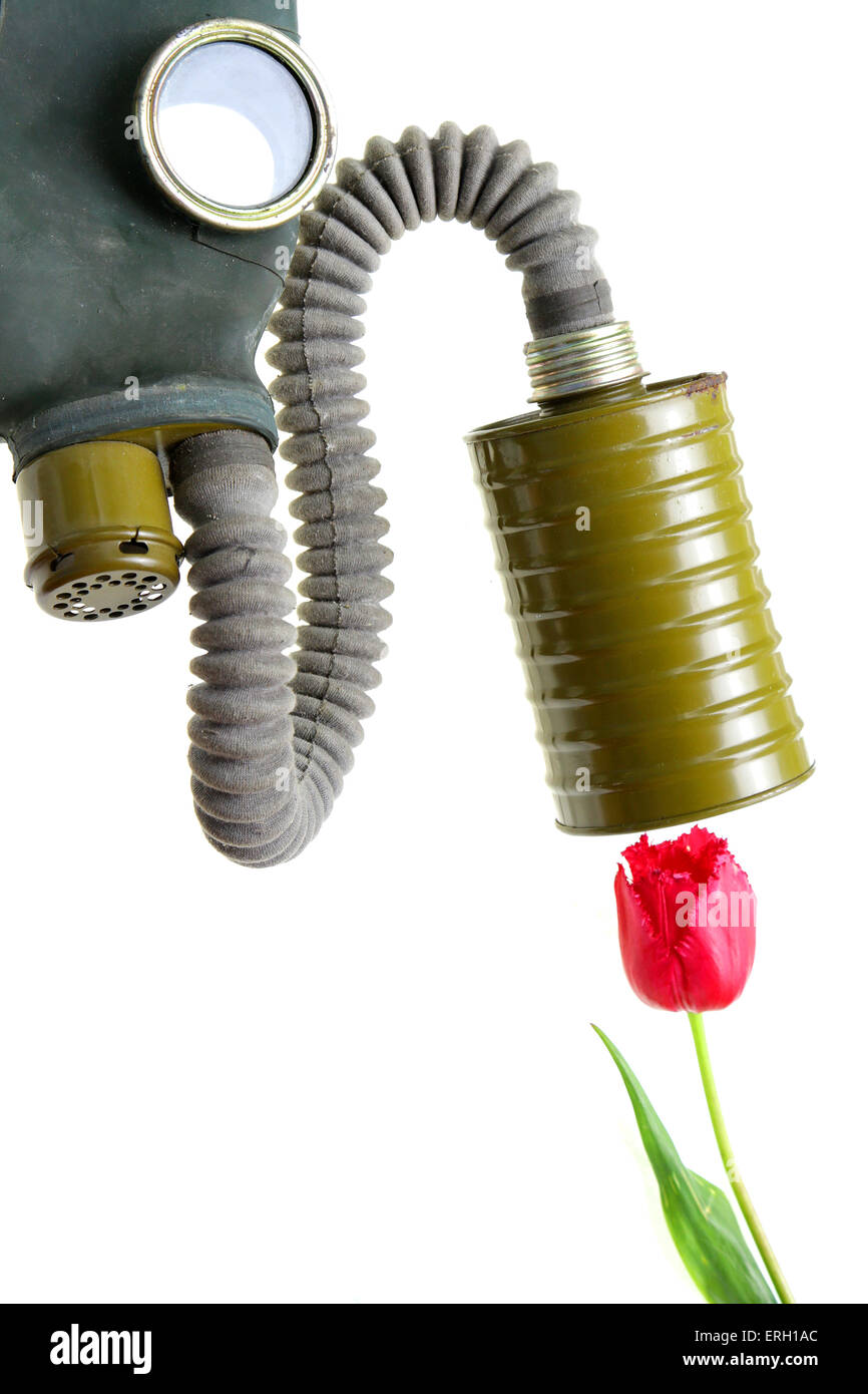 breathing gas mask oxygen smelling flower representing pollution and industrial breakdown Stock Photo