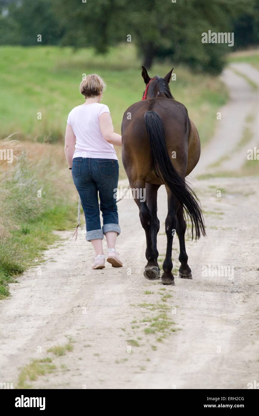 woman with horse Stock Photo