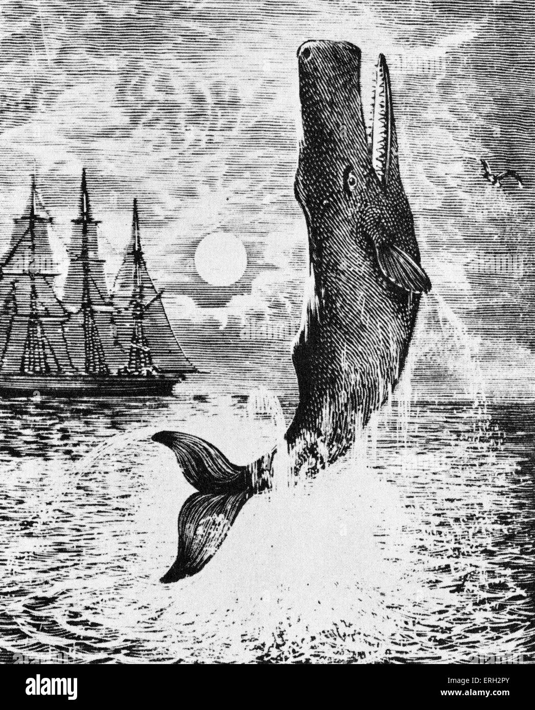 Author of the moby dick images 172