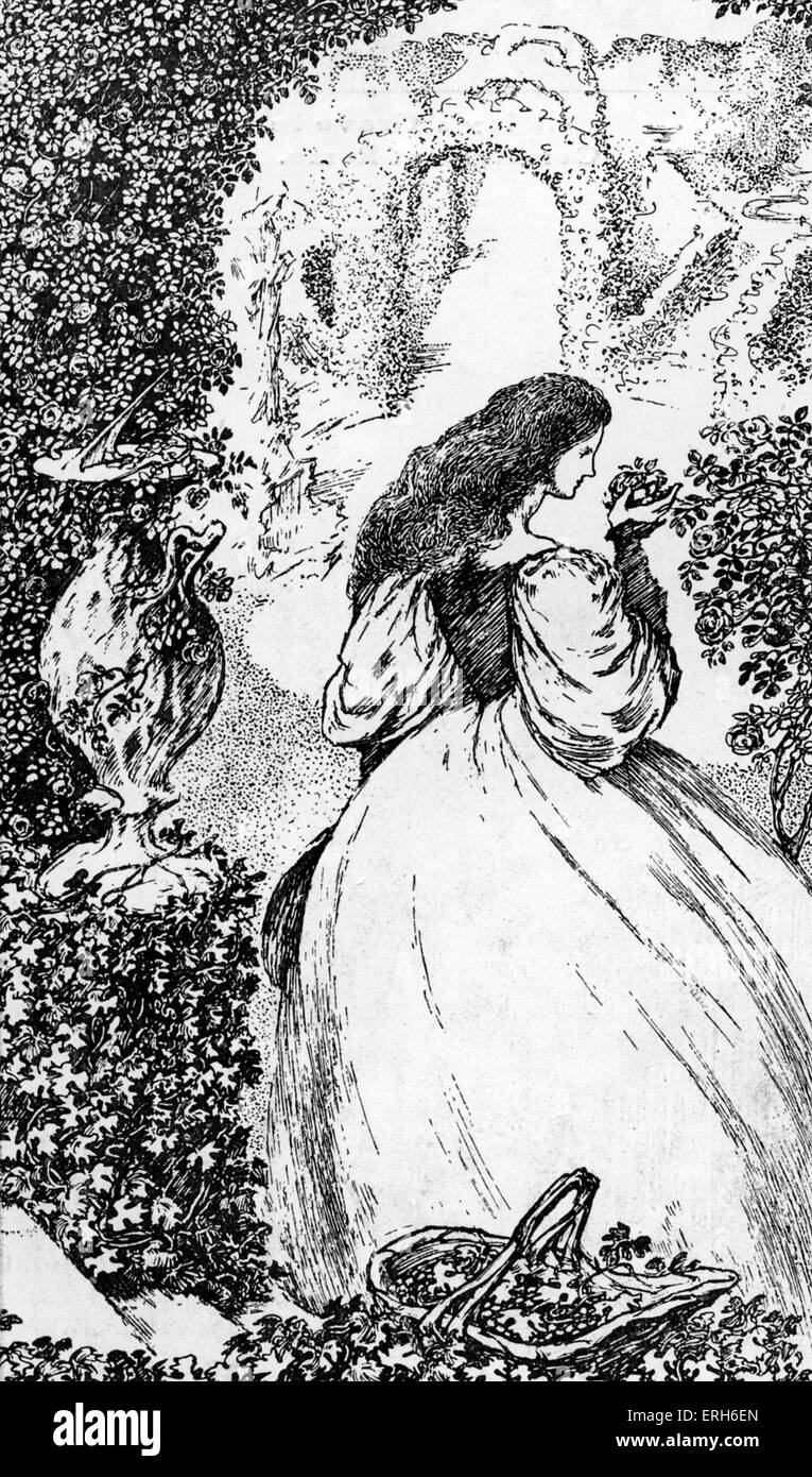 The Sensitive Plant by Percy Bysshe Shelley - illustration (of line 'Tended the garden from morn to even'). From drawing by Stock Photo
