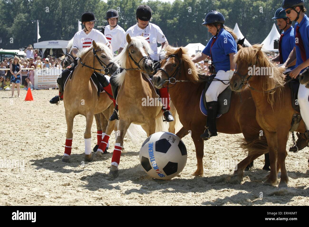 Horse soccer hi-res stock photography and images - Alamy