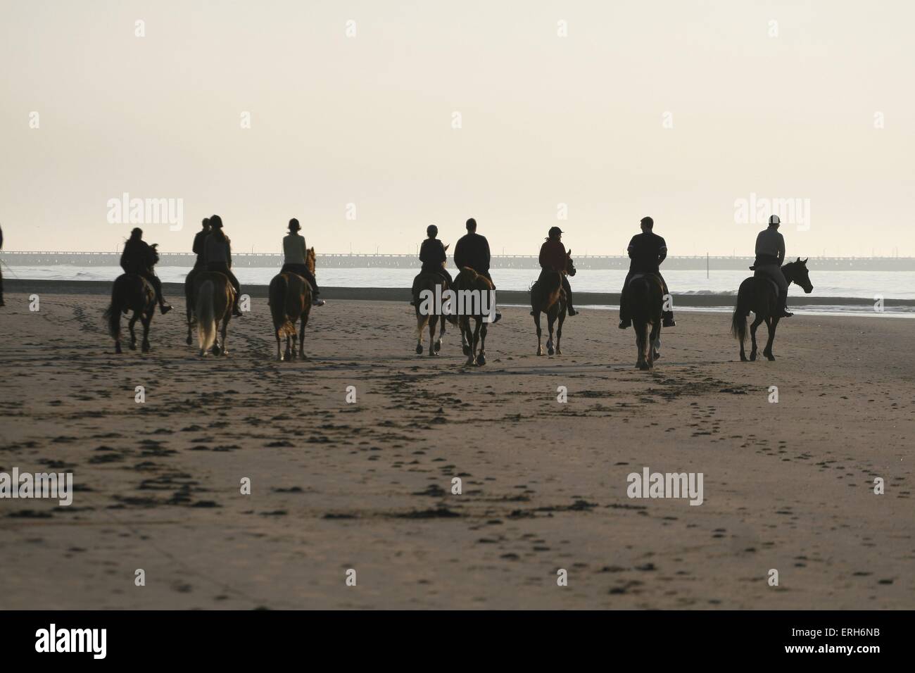Rider riders action hi-res stock photography and images - Alamy