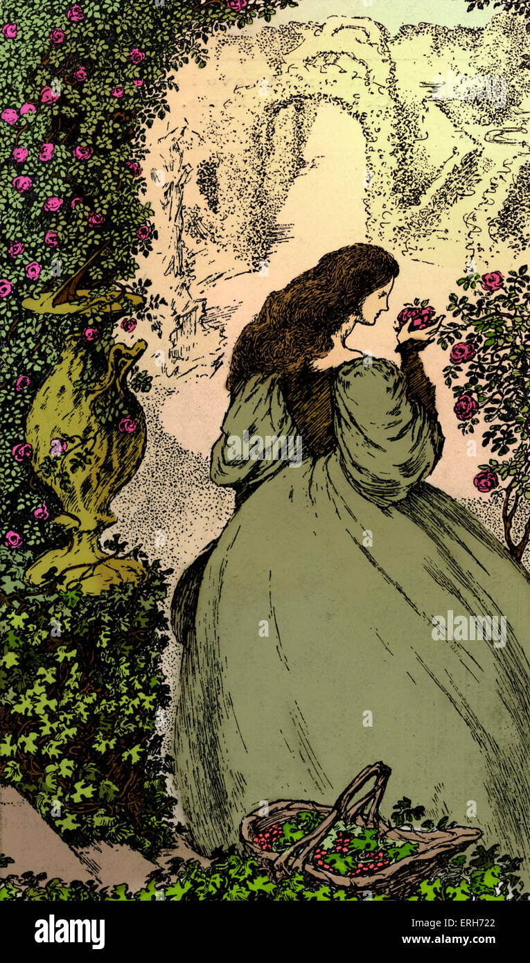 The Plant by Percy Bysshe Shelley - illustration (of line 'Tended the garden from morn to even'). drawing by Stock Photo - Alamy