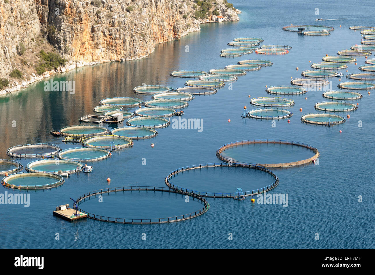 Offshore Sea bream and bass fish farming, Greece Stock Photo Alamy