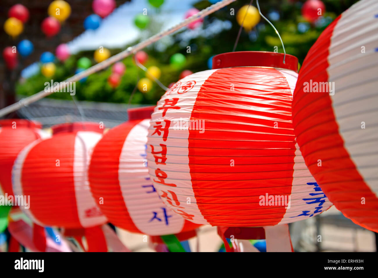 Hanging lanterns for celebrating Buddhas birthday. The text on lantern means  Buddhas birthday Stock Photo
