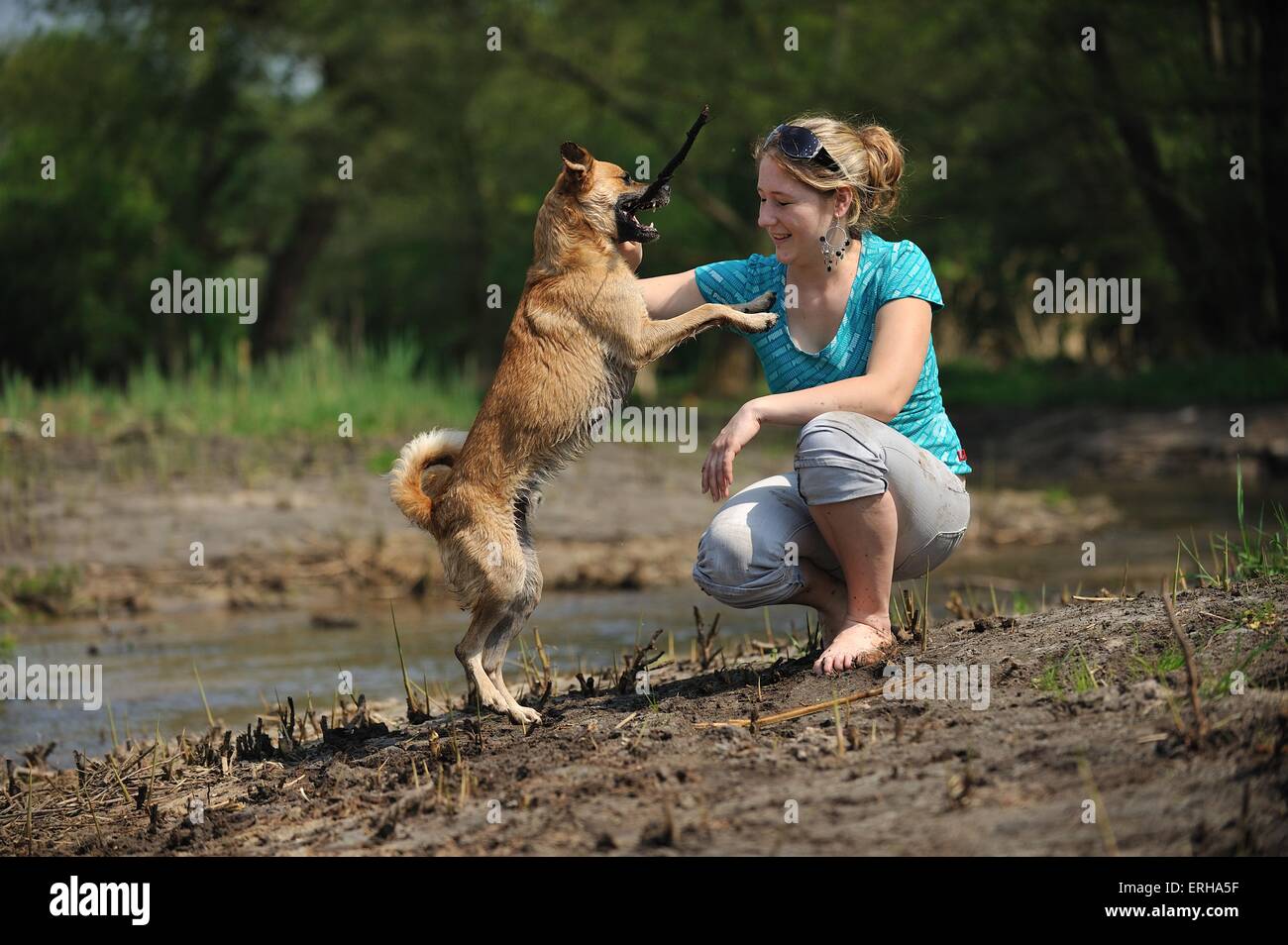 woman with mongrel Stock Photo