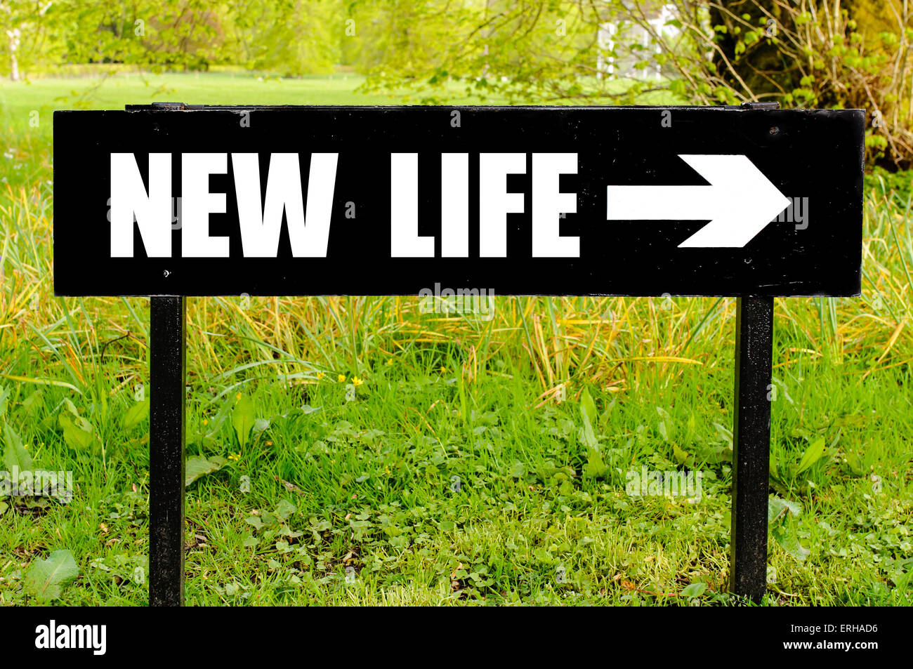 NEW LIFE written on directional black metal sign with arrow pointing to ...