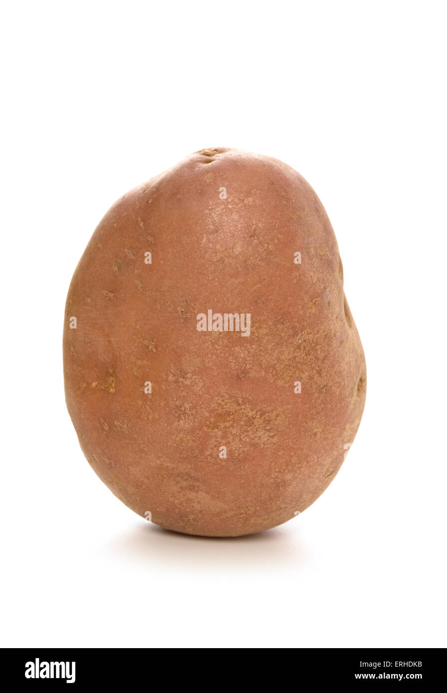 Maris potato isolated on white Stock Photo