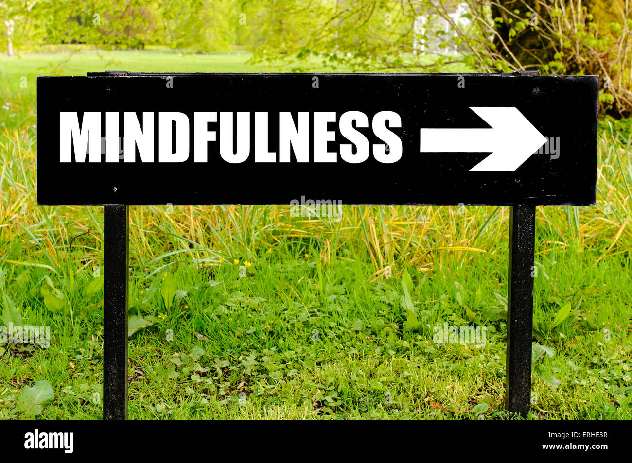 MINDFULNESS written on directional black metal sign with arrow pointing ...