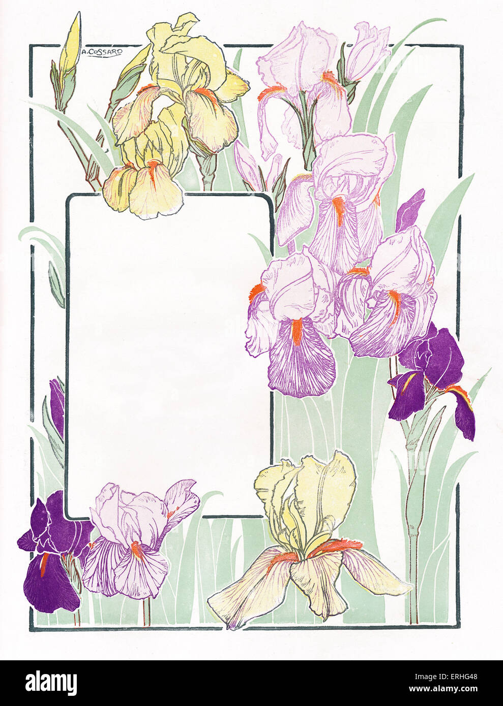 Floral border - to enclose, border or surround text with Spring flowers. Suitable for title page, ex libris, greeting card, Stock Photo