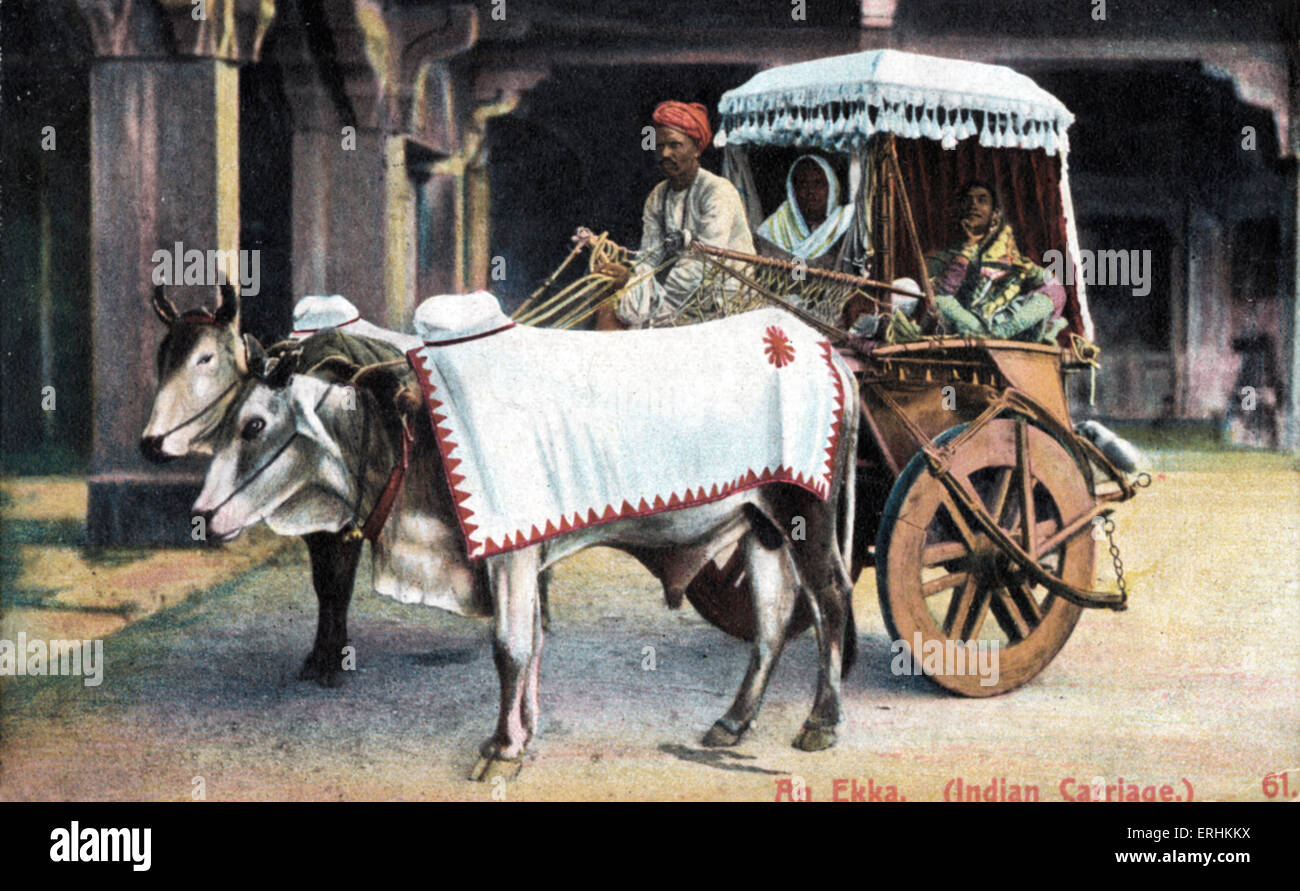 Ekka (Indian carriage) drawn by two buffalos, driven by an Indian man with turban.  Seated in the carriage are two Indian Stock Photo