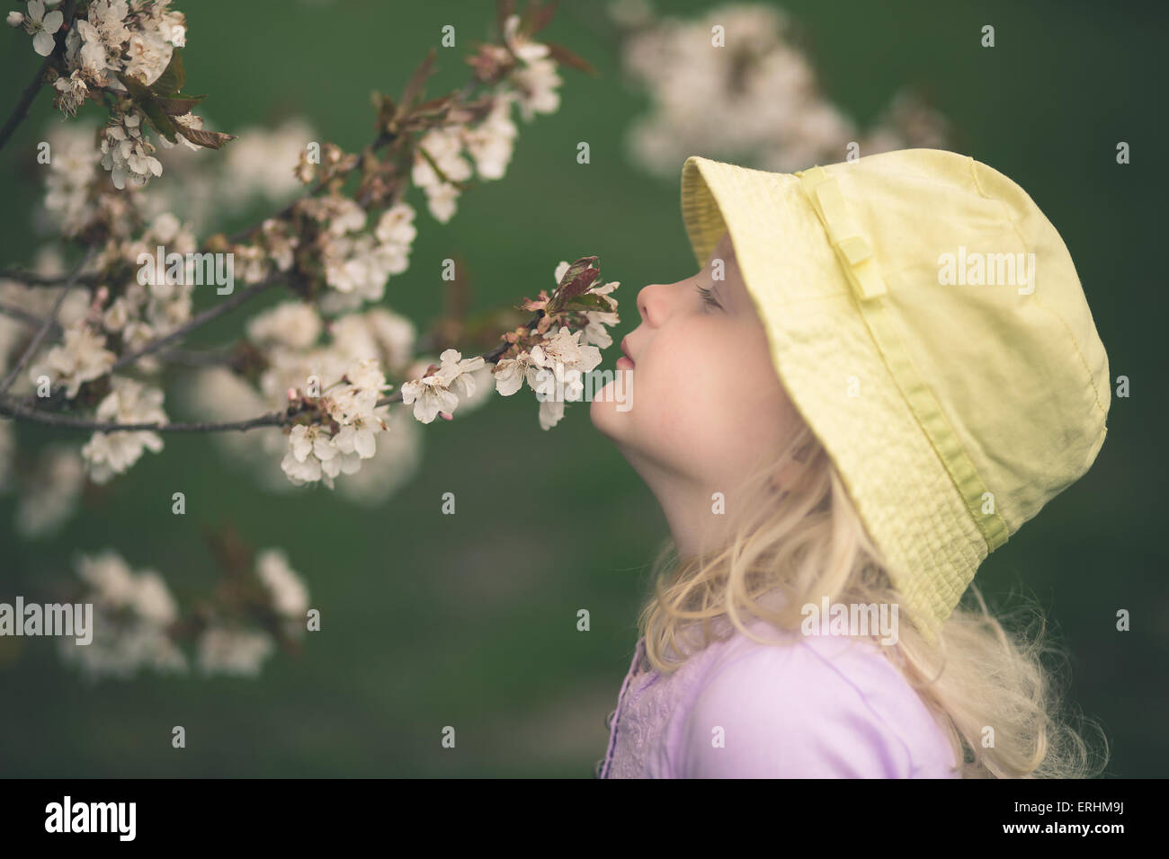 Side view of a girl smelling flower blossoms Stock Photo - Alamy