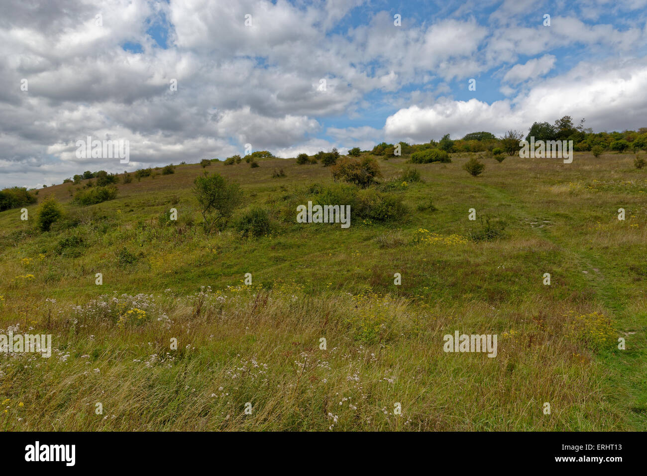St Catherine's Hill, Iron Age Hill Fort, Winchester, Hampshire, England, UK. Stock Photo