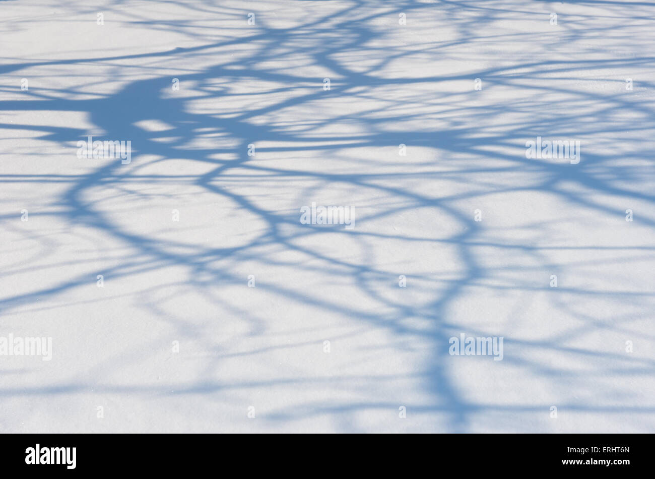 shadow of a tree on snow as background Stock Photo - Alamy