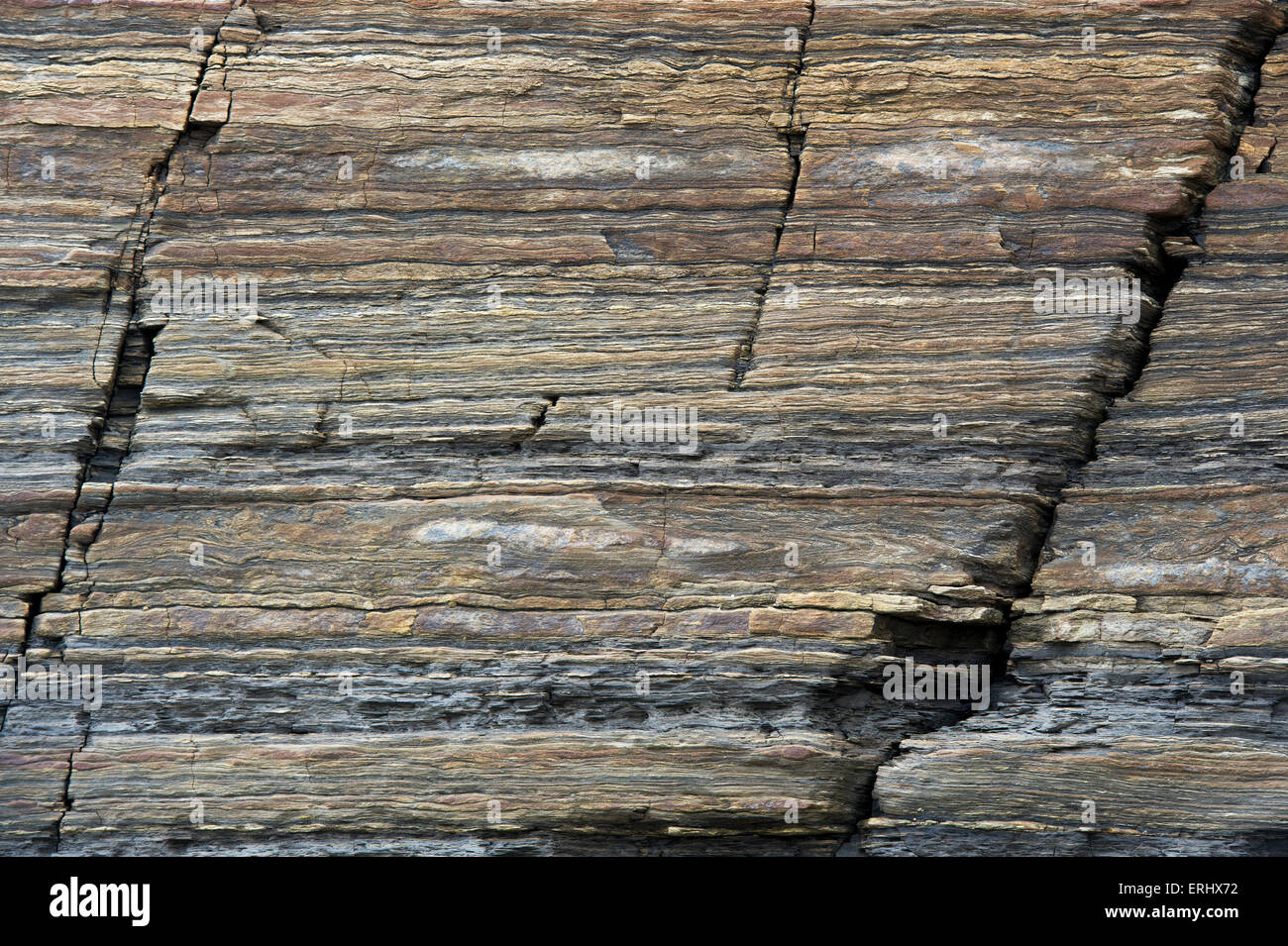 Carboniferous Rocks at Scremerston, Berwick Upon Tweed, Northumberland, England Stock Photo