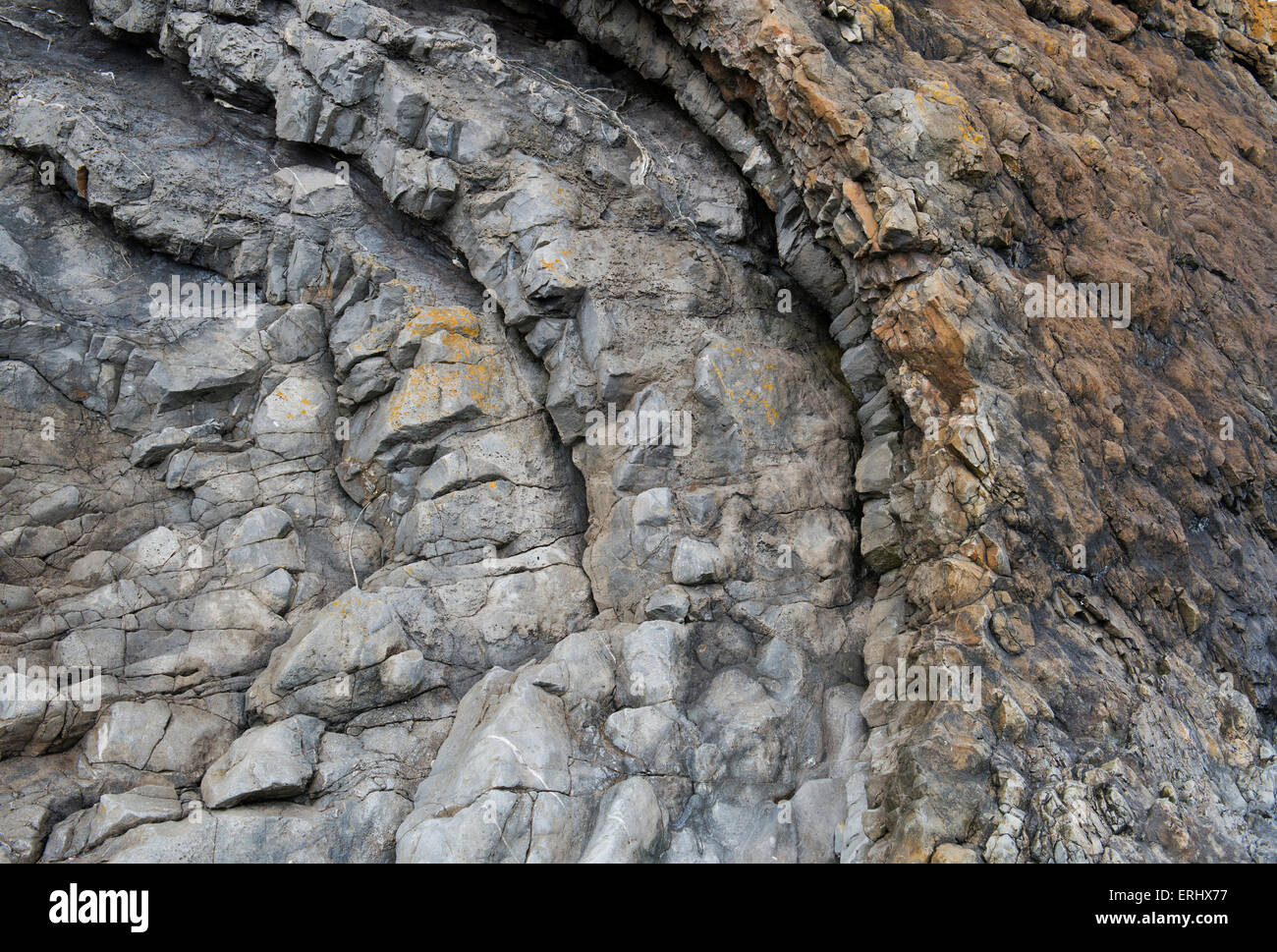 Carboniferous Rocks at Saltpan Rocks, Scremerston, Berwick Upon Tweed, Northumberland, England Stock Photo