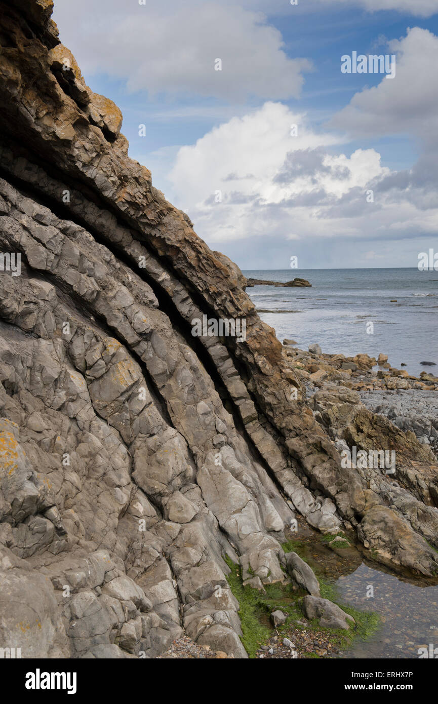 Carboniferous Rocks at Saltpan Rocks, Scremerston, Berwick Upon Tweed, Northumberland, England Stock Photo