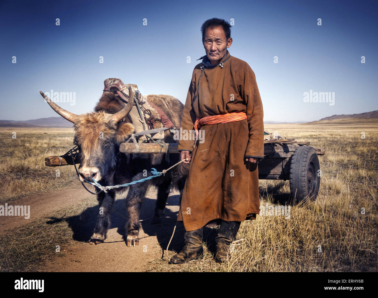 Man Walking Bull Cart Agriculturist Tranquil Stock Photo