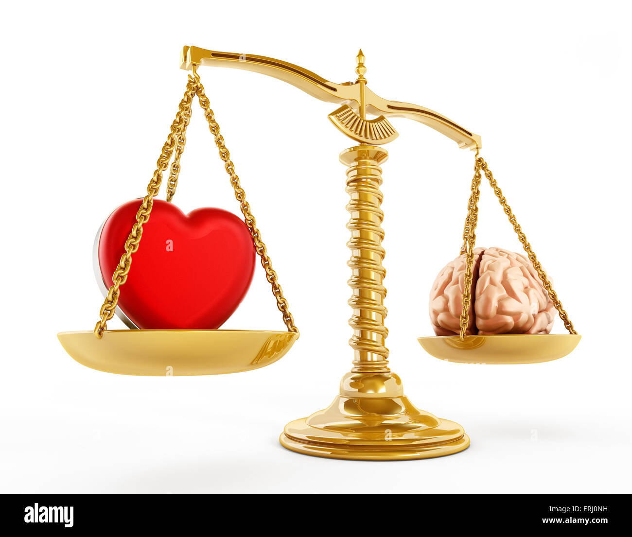 Heart and brain equality concept. Stock Photo