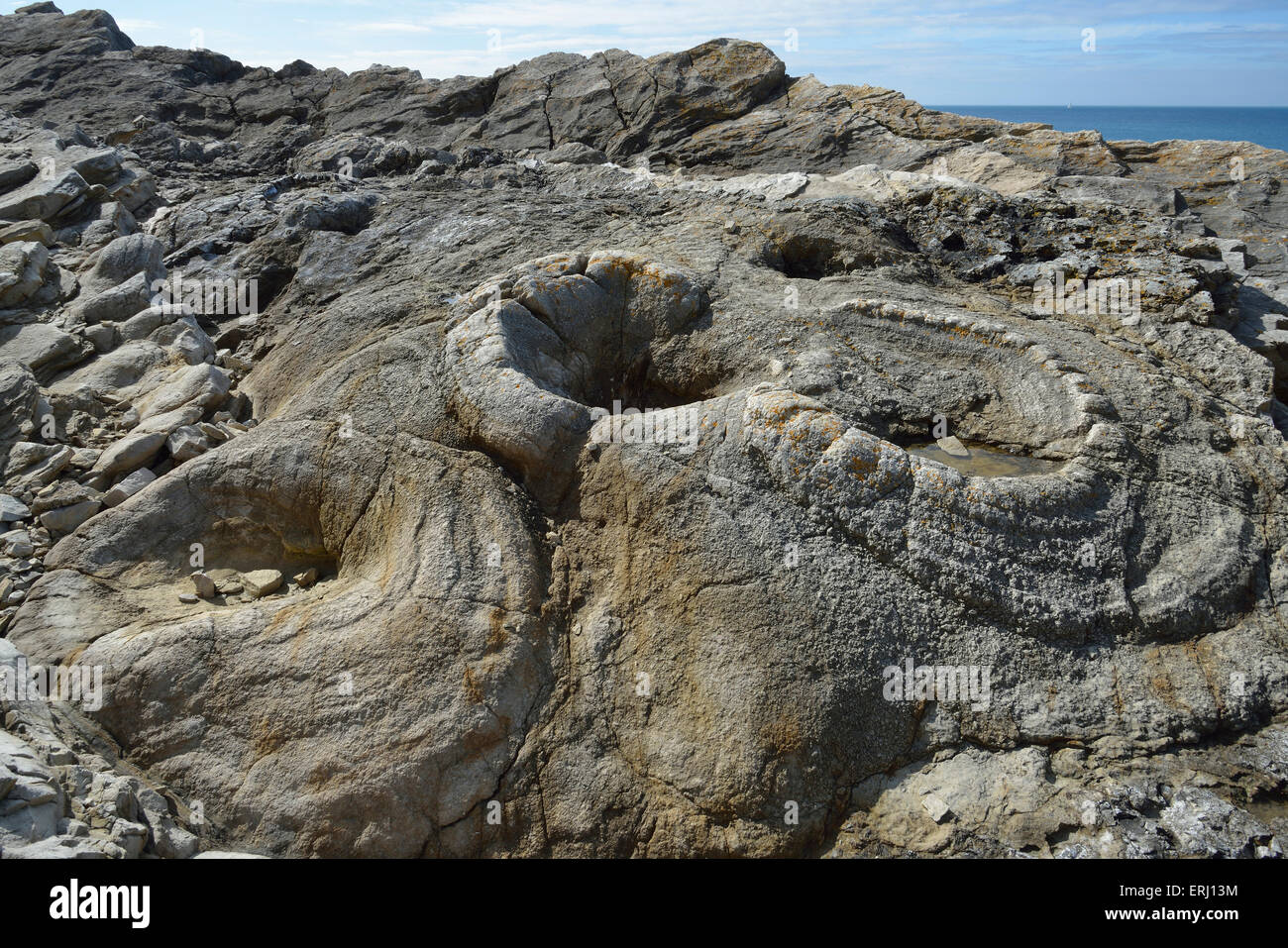 Fossil Forest near Lulworth Cove Petrified remains of a 140 milion year old tree stumps Stock