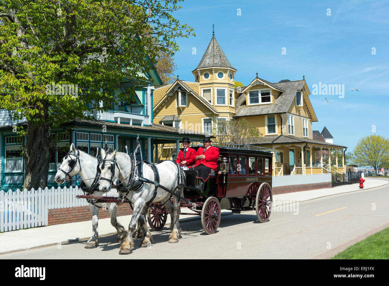 Horse Drawn Carriage Rides - Harbor View Hotel