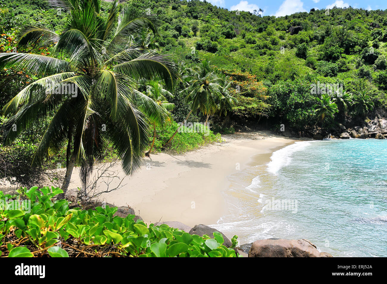 Anse Major, Beach on Mahe, Seychelles Stock Photo