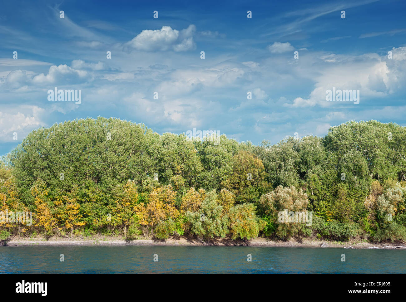Landscape with river and forest Stock Photo - Alamy