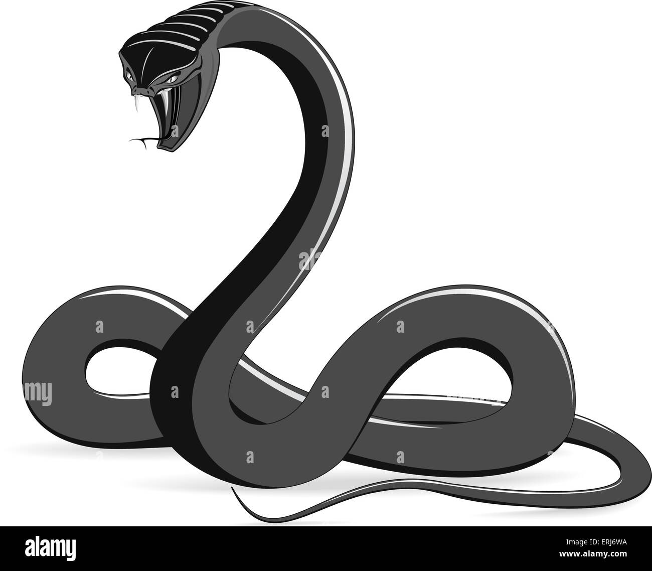 angry black-and-white snake on white background vector illustration isolated Stock Vector