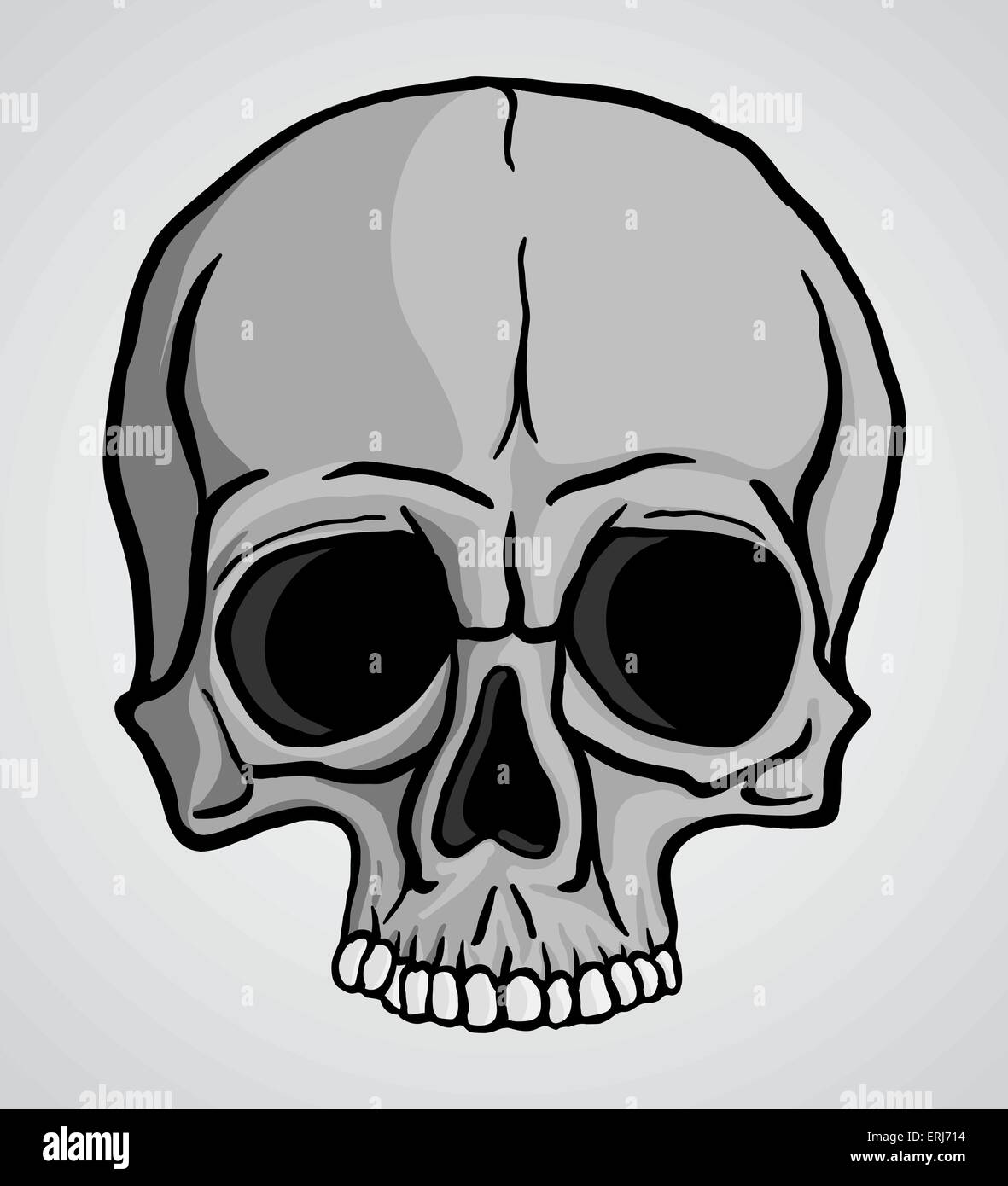 Human skull over gray background. Freehand drawing.Vector illustration. Stock Vector