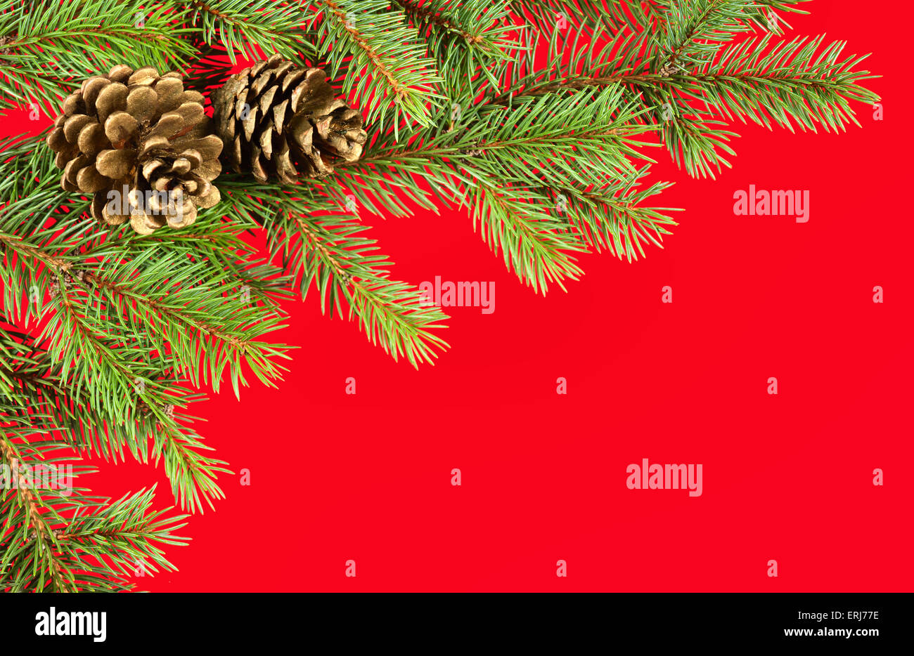 christmas background. fir branches and cones on red Stock Photo - Alamy