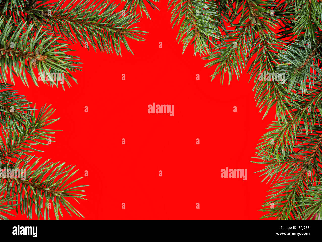 red round christmas frame from fir branches Stock Photo - Alamy