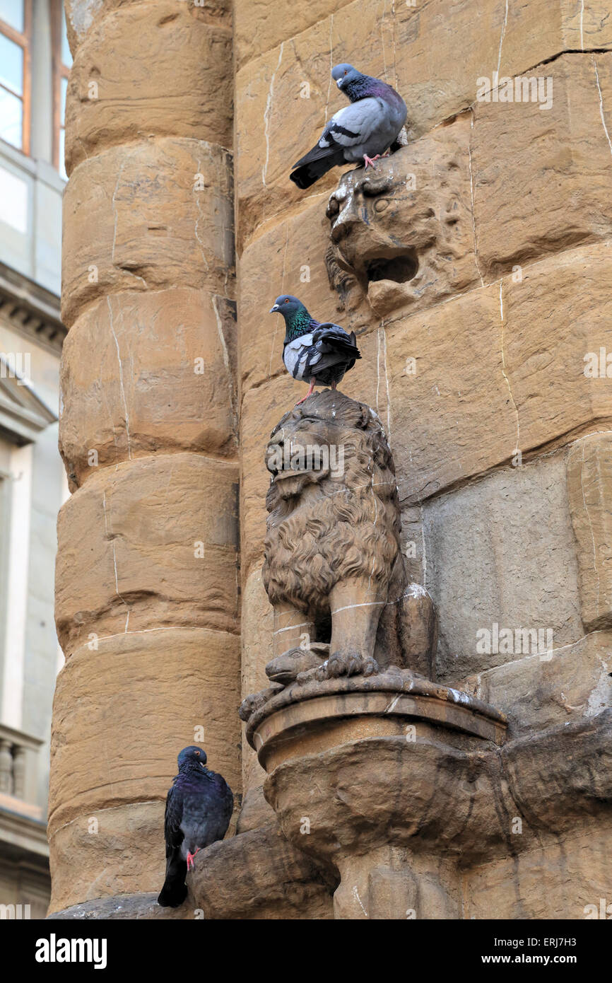 Pigeons sitting on lion sculptures, Florence Stock Photo