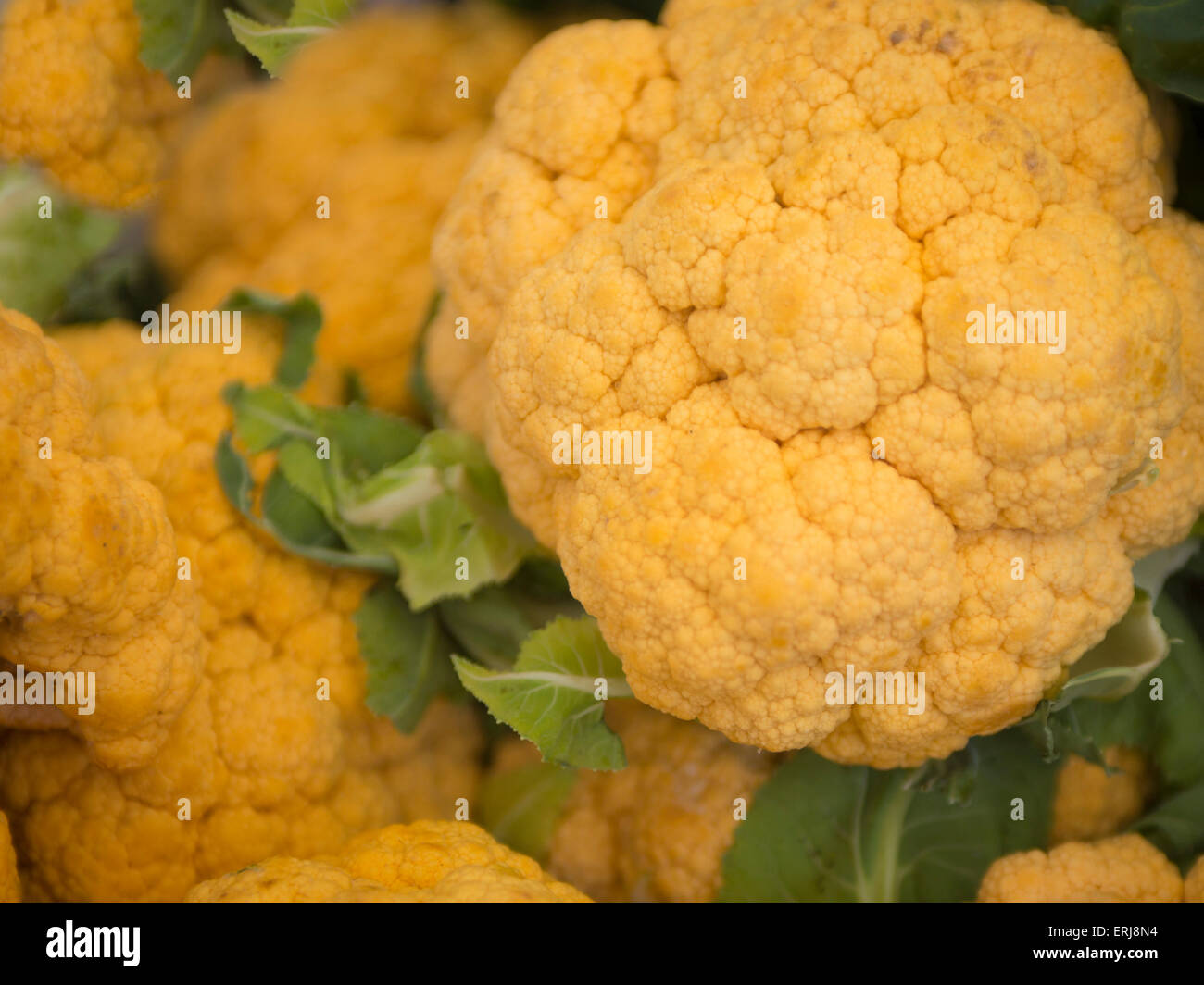 Yellow Cauliflower CloseUp Stock Photo Alamy