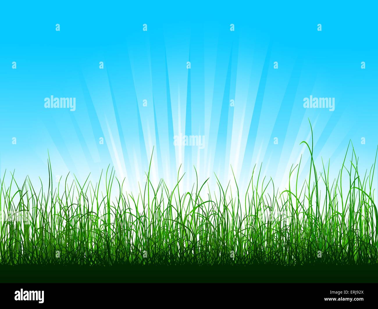 Green grass over blue sky with sunbeams Stock Vector