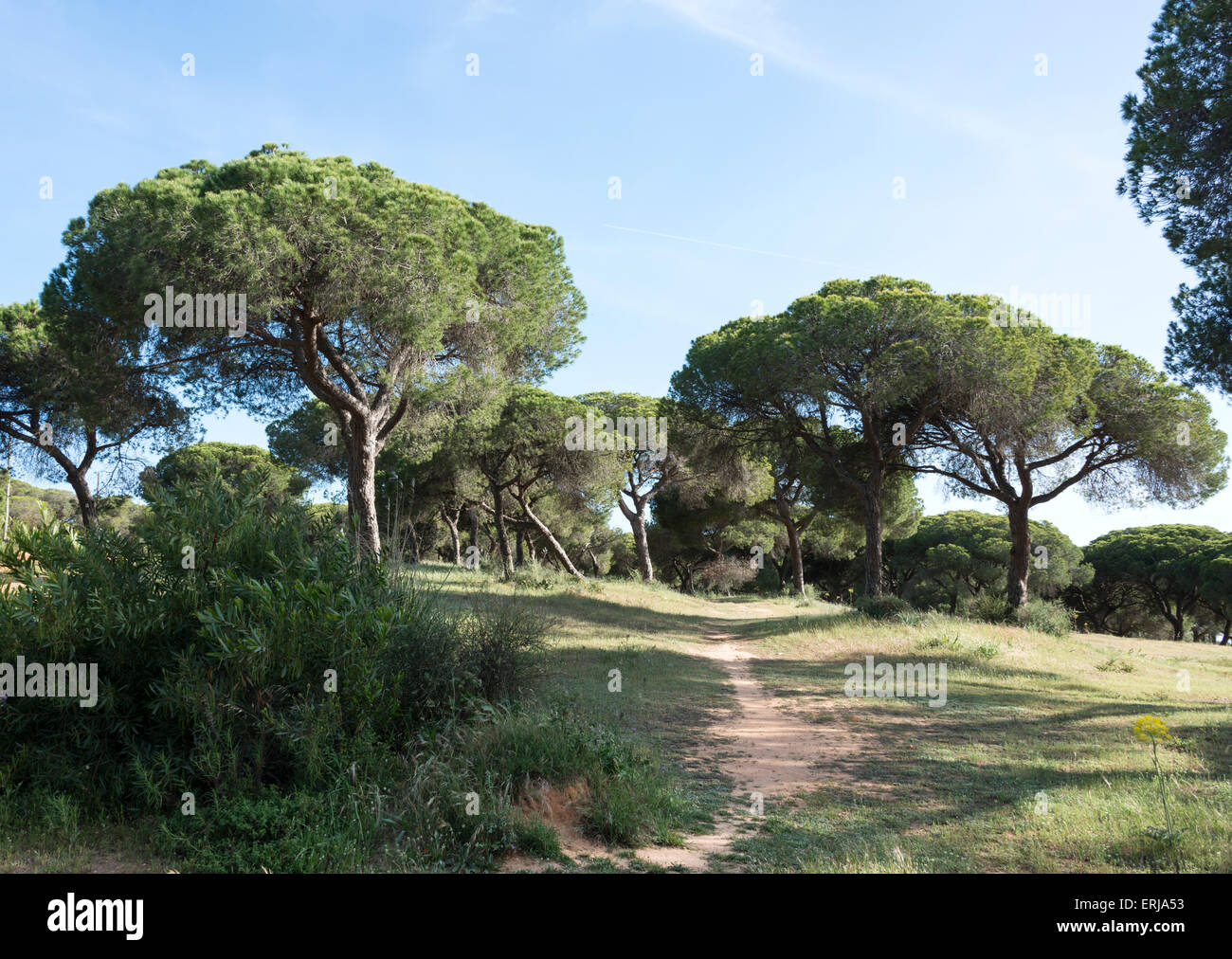 Quarteira portugal hi-res stock photography and images - Alamy