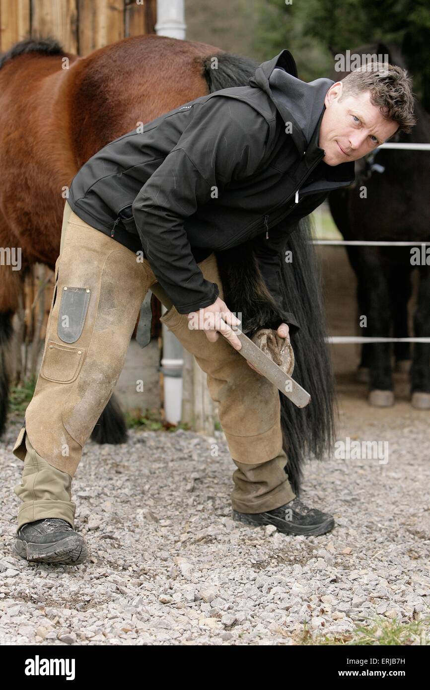 Rasping a horses hoof hires stock photography and images Alamy
