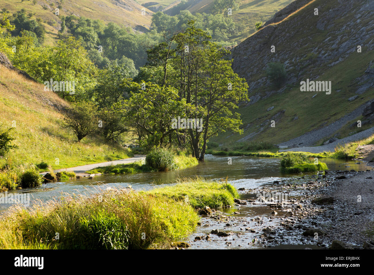 UK, England, Derbyshire, River Dove flowing through Dovedale in summer Stock Photo