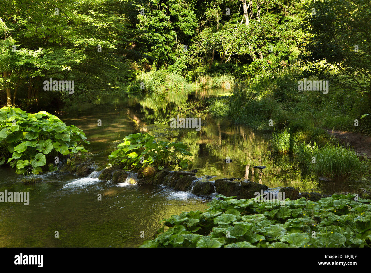 UK, England, Derbyshire, Dovedale, River Dove flowing over weir Stock Photo