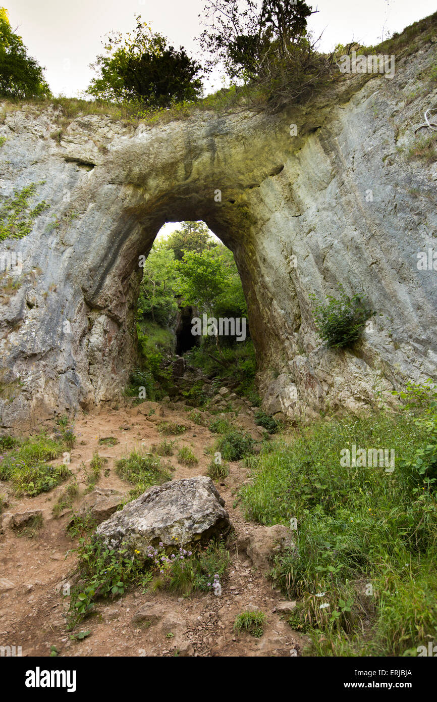 UK, England, Derbyshire, Dovedale, Reynards Cave, entrance to ancient collapsed cavern Stock Photo