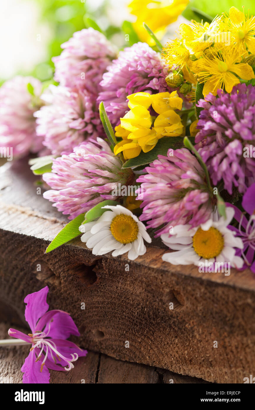 Medical flowers hi-res stock photography and images - Alamy