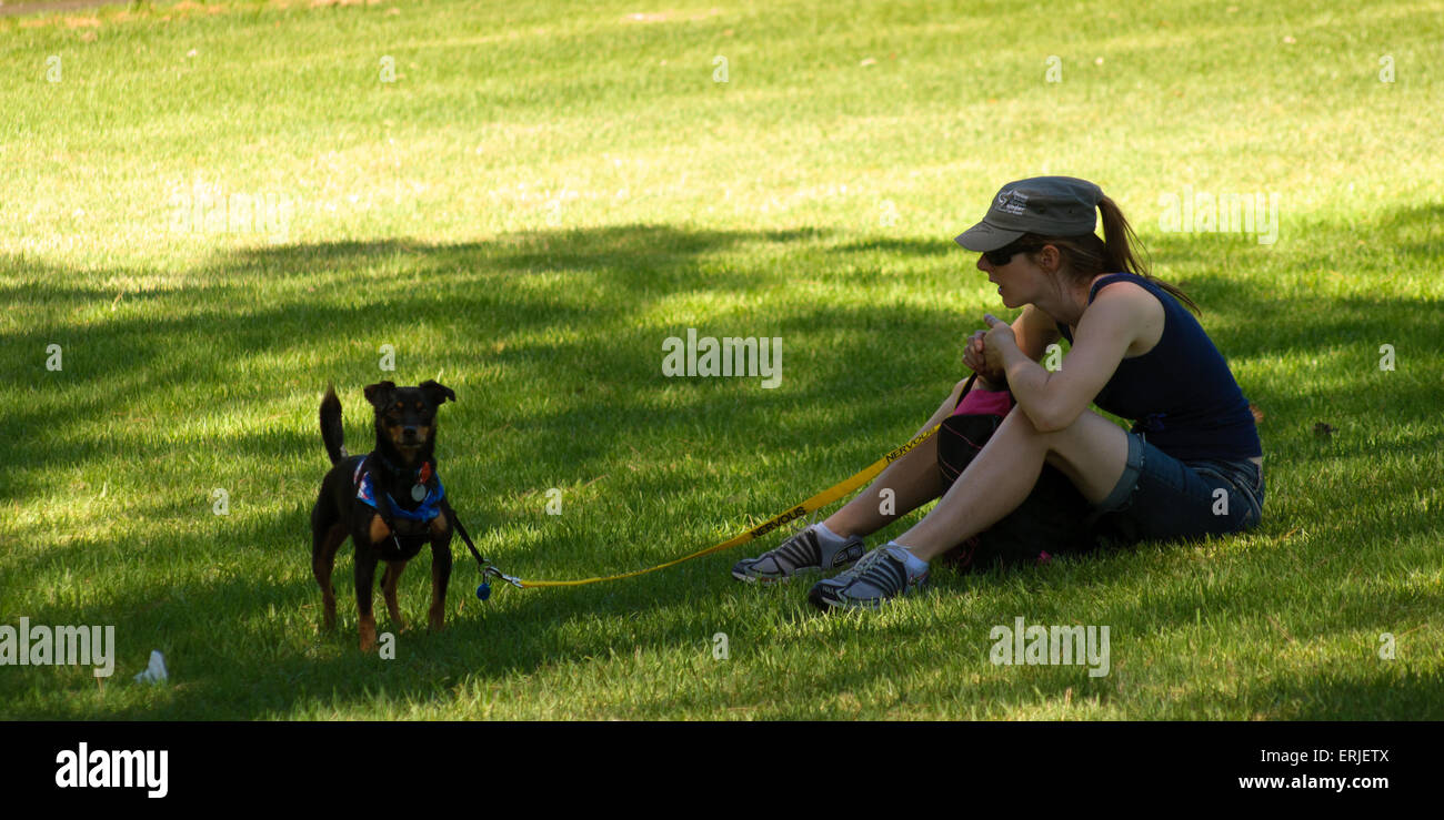 A young girl playing with her dog in the park, Adelaide, Australia, SA, Stock Photo
