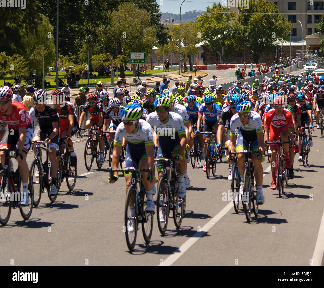 A bicycle race in Adelaide, SA, Australia Stock Photo