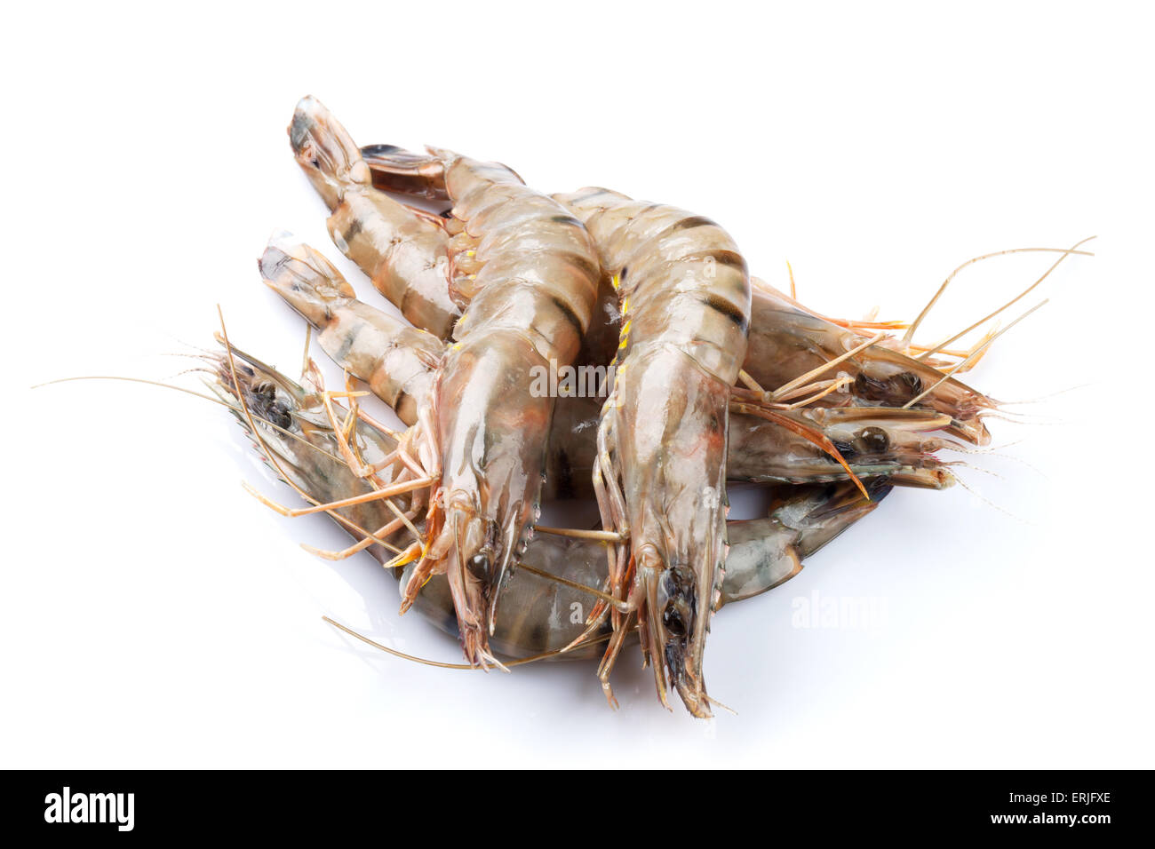 Frozen shrimp or prawn in plastic package isolated on a white background  Stock Photo - Alamy